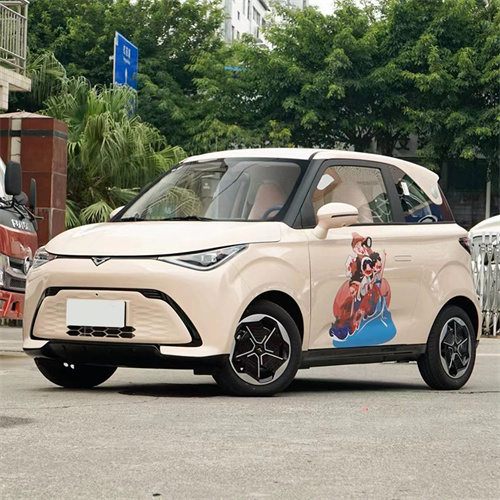 400km beag ev